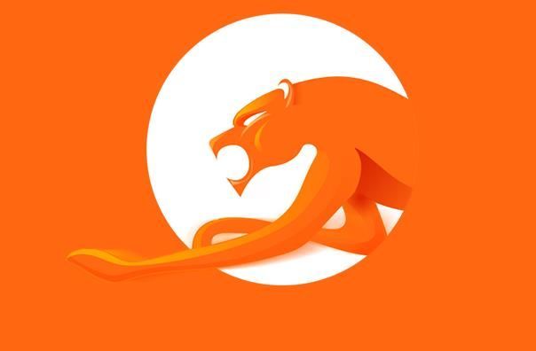 猎豹安全浏览器国际PC正式版
