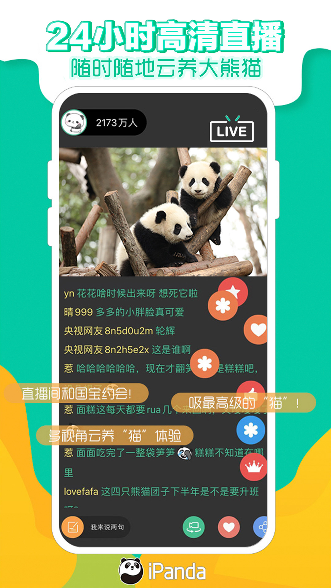 熊猫频道截图1